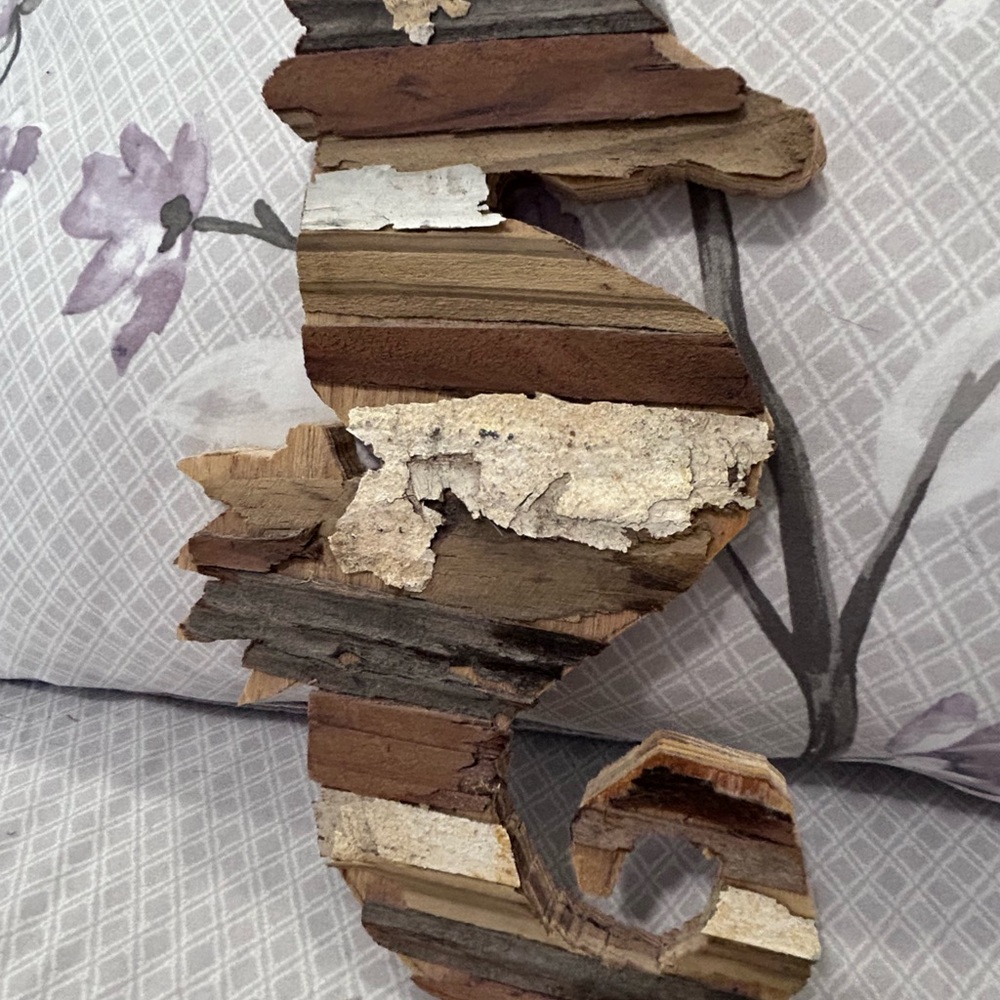Rustic Seahorse Wall Art Decor Handmade - Picture 2 of 11